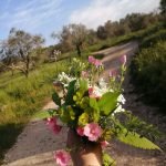 facebook1309324936156242