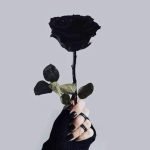 facebook1405915479887712